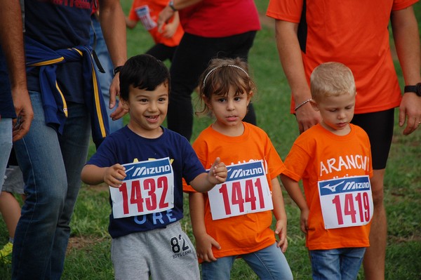 Trofeo Podistica Solidarietà (TOP,CE) (18/09/2016) 00037