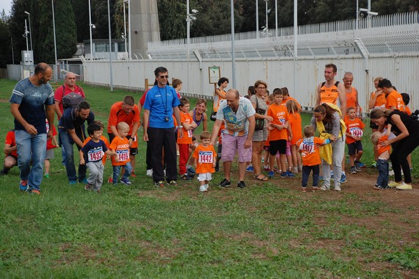 Trofeo Podistica Solidarietà (TOP,CE) (18/09/2016) 00042
