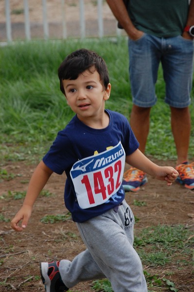 Trofeo Podistica Solidarietà (TOP,CE) (18/09/2016) 00063