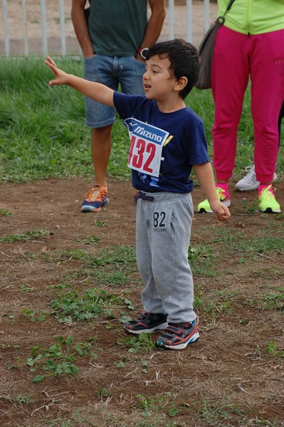 Trofeo Podistica Solidarietà (TOP,CE) (18/09/2016) 00064