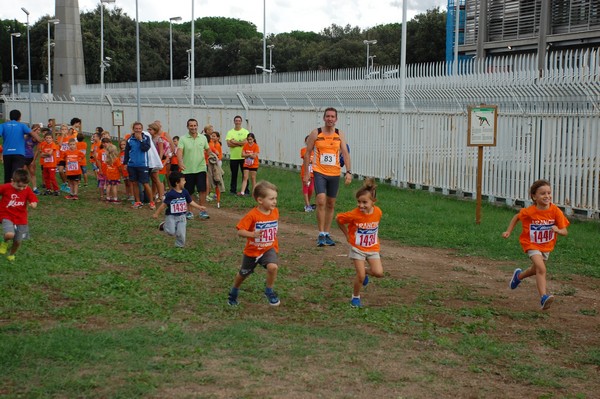 Trofeo Podistica Solidarietà (TOP,CE) (18/09/2016) 00072