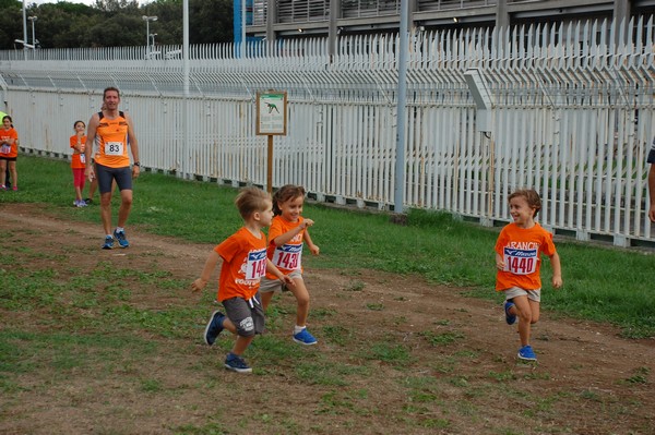Trofeo Podistica Solidarietà (TOP,CE) (18/09/2016) 00073