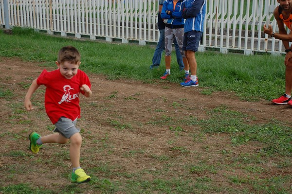 Trofeo Podistica Solidarietà (TOP,CE) (18/09/2016) 00076