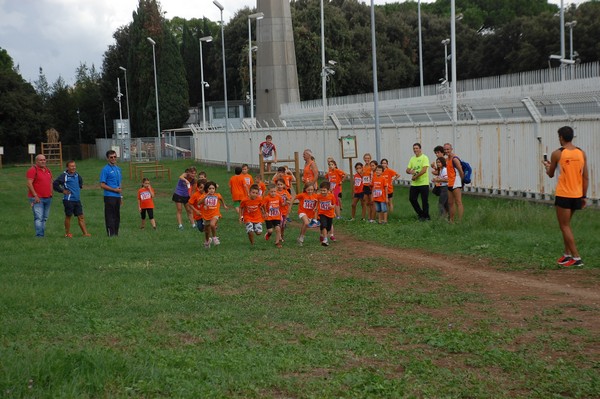 Trofeo Podistica Solidarietà (TOP,CE) (18/09/2016) 00087