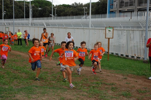 Trofeo Podistica Solidarietà (TOP,CE) (18/09/2016) 00089