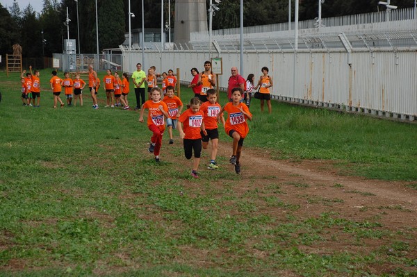 Trofeo Podistica Solidarietà (TOP,CE) (18/09/2016) 00104