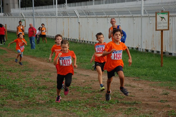 Trofeo Podistica Solidarietà (TOP,CE) (18/09/2016) 00107