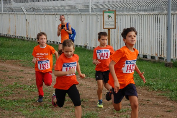 Trofeo Podistica Solidarietà (TOP,CE) (18/09/2016) 00108