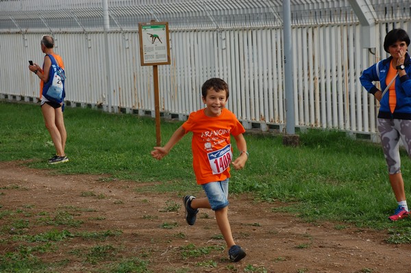 Trofeo Podistica Solidarietà (TOP,CE) (18/09/2016) 00111