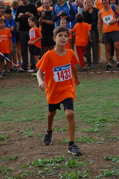 Trofeo Podistica Solidarietà (TOP,CE) (18/09/2016) 00113