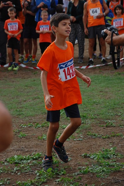 Trofeo Podistica Solidarietà (TOP,CE) (18/09/2016) 00114