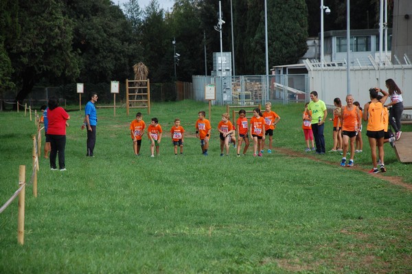 Trofeo Podistica Solidarietà (TOP,CE) (18/09/2016) 00115