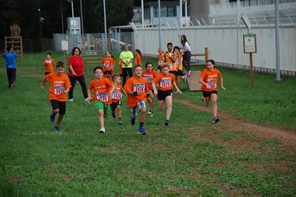 Trofeo Podistica Solidarietà (TOP,CE) (18/09/2016) 00125