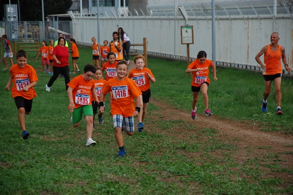 Trofeo Podistica Solidarietà (TOP,CE) (18/09/2016) 00127