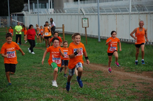 Trofeo Podistica Solidarietà (TOP,CE) (18/09/2016) 00128