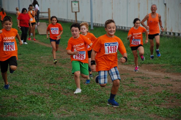 Trofeo Podistica Solidarietà (TOP,CE) (18/09/2016) 00129