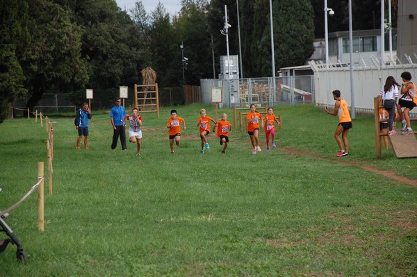 Trofeo Podistica Solidarietà (TOP,CE) (18/09/2016) 00140