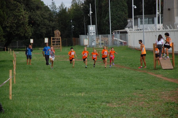 Trofeo Podistica Solidarietà (TOP,CE) (18/09/2016) 00141