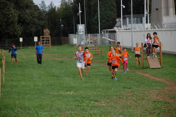 Trofeo Podistica Solidarietà (TOP,CE) (18/09/2016) 00146