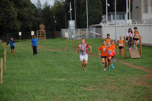 Trofeo Podistica Solidarietà (TOP,CE) (18/09/2016) 00147