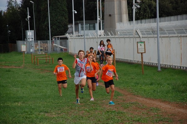 Trofeo Podistica Solidarietà (TOP,CE) (18/09/2016) 00149