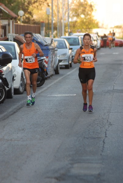 Maratonina di S.Alberto Magno [TOP] (11/11/2017) 00003