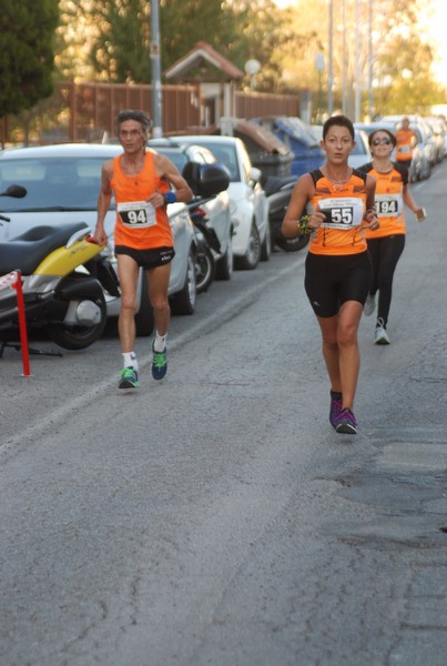 Maratonina di S.Alberto Magno [TOP] (11/11/2017) 00005
