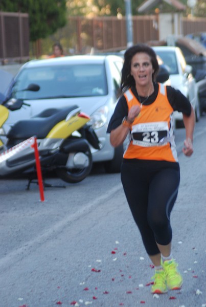 Maratonina di S.Alberto Magno [TOP] (11/11/2017) 00070