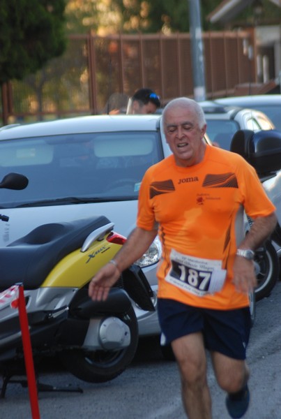 Maratonina di S.Alberto Magno [TOP] (11/11/2017) 00087