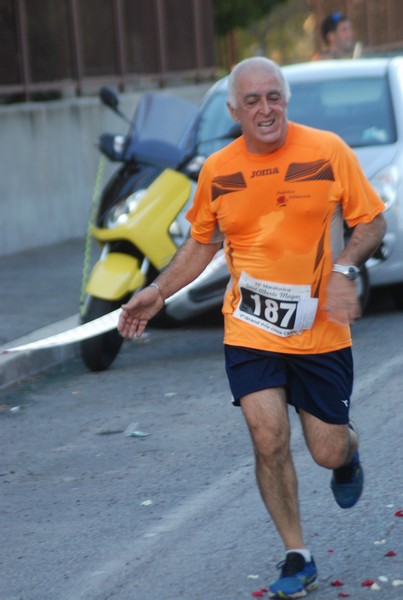 Maratonina di S.Alberto Magno [TOP] (11/11/2017) 00088