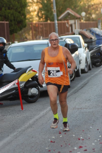 Maratonina di S.Alberto Magno [TOP] (11/11/2017) 00101