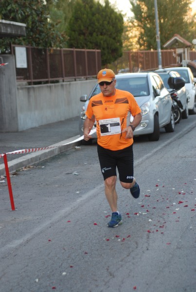 Maratonina di S.Alberto Magno [TOP] (11/11/2017) 00109