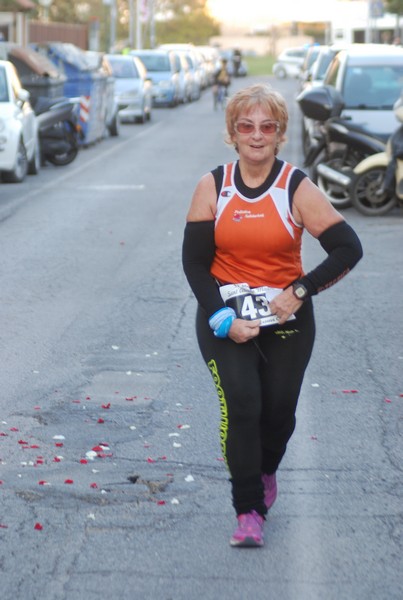 Maratonina di S.Alberto Magno [TOP] (11/11/2017) 00134