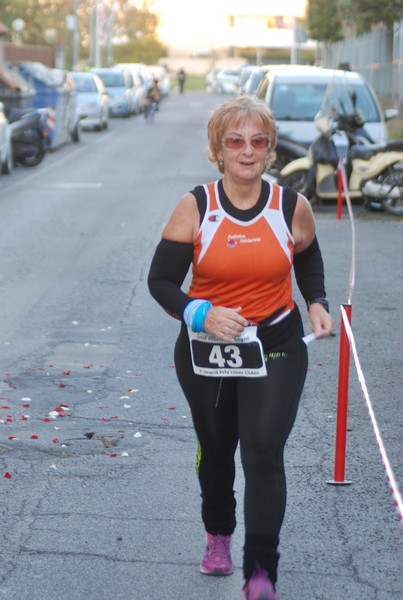 Maratonina di S.Alberto Magno [TOP] (11/11/2017) 00135