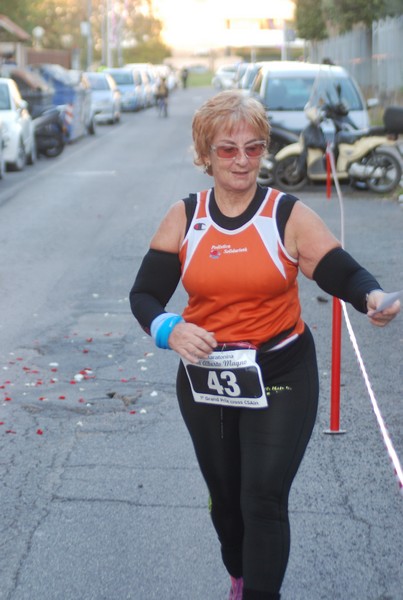 Maratonina di S.Alberto Magno [TOP] (11/11/2017) 00136