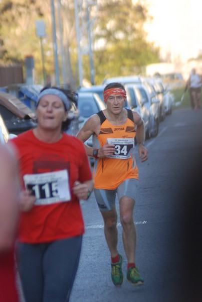 Maratonina di S.Alberto Magno [TOP] (11/11/2017) 00050