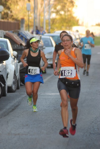Maratonina di S.Alberto Magno [TOP] (11/11/2017) 00072