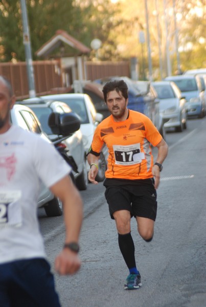 Maratonina di S.Alberto Magno [TOP] (11/11/2017) 00101