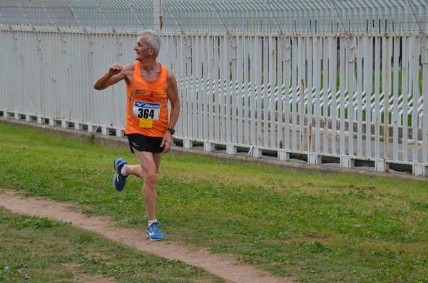 Trofeo Podistica Solidarietà [TOP] (29/10/2017) 00087