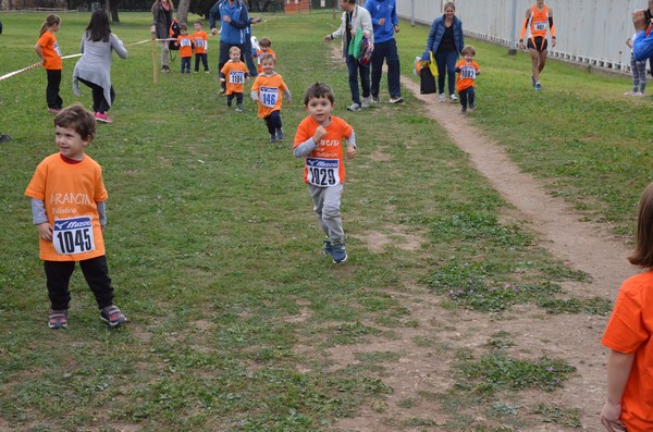 Trofeo Arancini Podistica Solidarietà  (29/10/2017) 00009