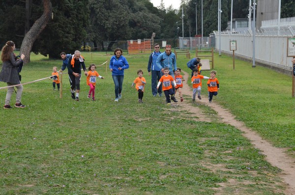 Trofeo Arancini Podistica Solidarietà  (29/10/2017) 00021