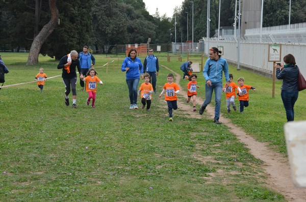 Trofeo Arancini Podistica Solidarietà  (29/10/2017) 00022