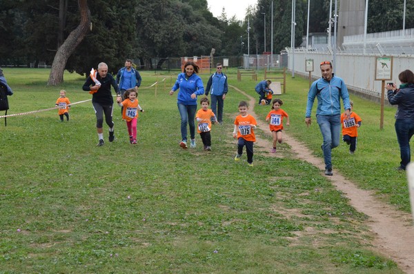 Trofeo Arancini Podistica Solidarietà  (29/10/2017) 00023