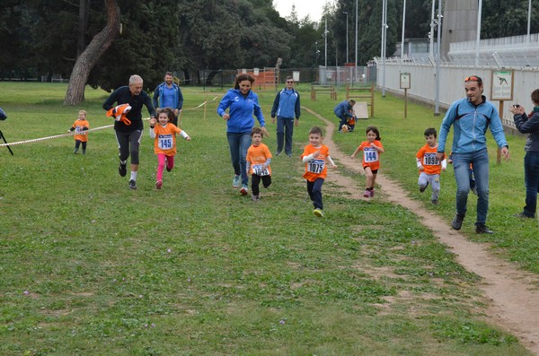 Trofeo Arancini Podistica Solidarietà  (29/10/2017) 00024