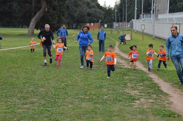 Trofeo Arancini Podistica Solidarietà  (29/10/2017) 00025