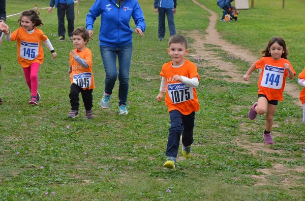 Trofeo Arancini Podistica Solidarietà  (29/10/2017) 00026