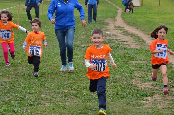 Trofeo Arancini Podistica Solidarietà  (29/10/2017) 00027