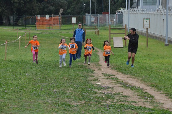 Trofeo Arancini Podistica Solidarietà  (29/10/2017) 00037