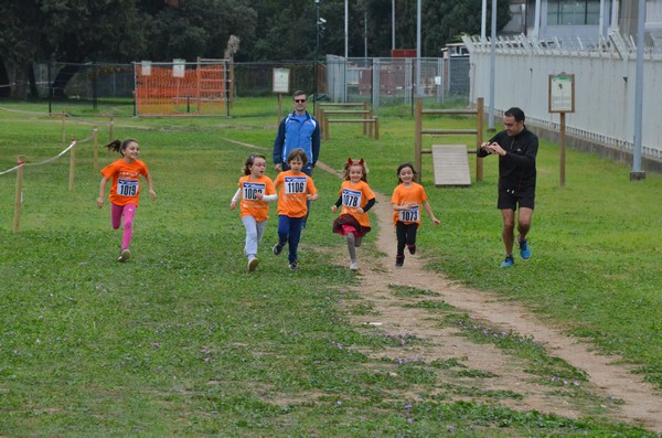 Trofeo Arancini Podistica Solidarietà  (29/10/2017) 00038