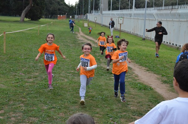 Trofeo Arancini Podistica Solidarietà  (29/10/2017) 00047